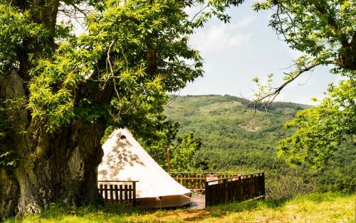 Santa Fiora Other | Tenda Glamping vista sulla Valle - Podere di Maggio