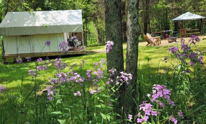 Sharpsburg RV Rental | Tentrr Signature Site - Evensong Farm - Wineberry - Coleman Outfitted Site