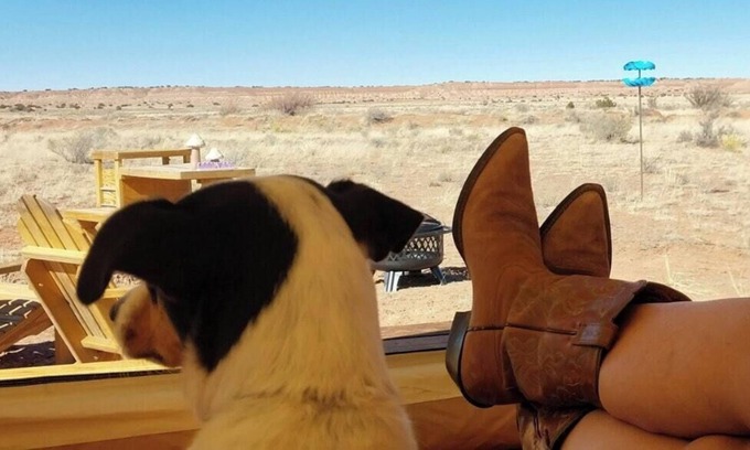 Chambers RV Rental | Tentrr Signature Site - Million Stars Campsite in Petrified Forest - Bliss