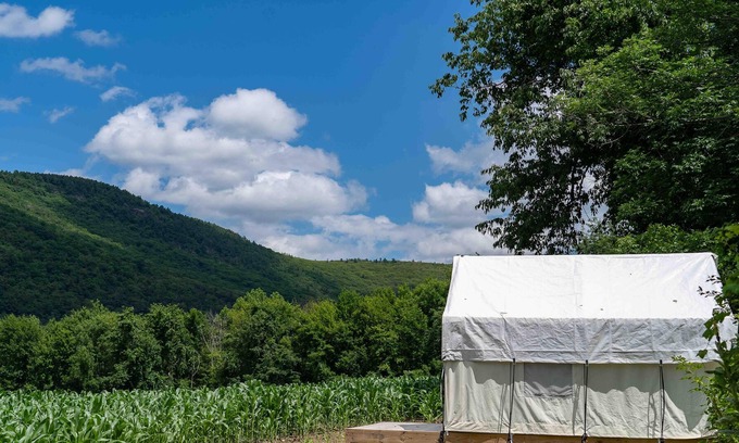 Copake Falls RV Rental | Tentrr State Park Site - NY Taconic State Park: High Valley Rd Site C