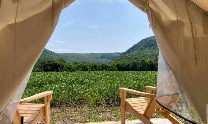 Copake Falls RV Rental | Tentrr State Park Site - NY Taconic State Park: High Valley Rd Site D