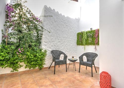 Sao Pedro Apartment | Terrace Barqueta Studio