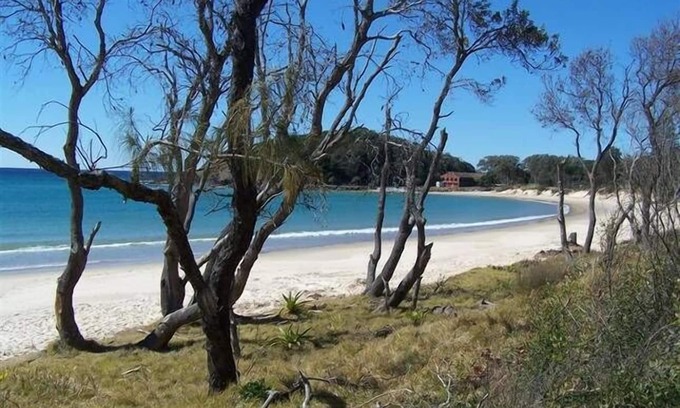Scotts Head House | The Beach House - Pet friendly holiday home