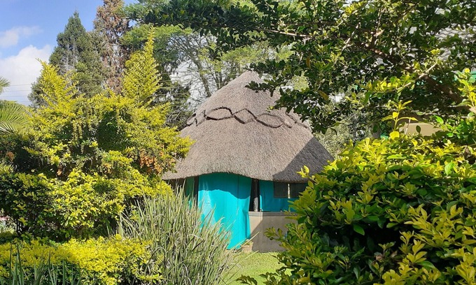 Harare Cottage | The Best Green Garden Guest House in Harare