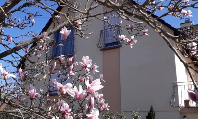 Holtzwihr Villa | The Closerie du Ried