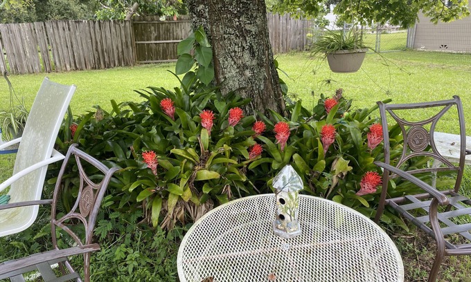 Historic Downtown Kissimmee Cottage | The Compass Cottage: A Cheerful 1 Bed /1 Bath