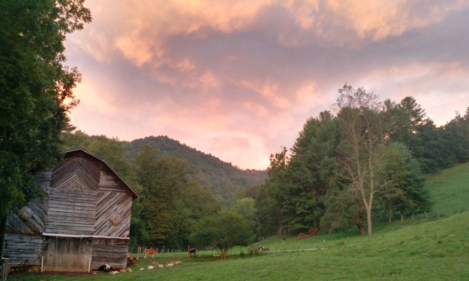 Mars Hill Cottage | The Cottage In Quiver Full Farm