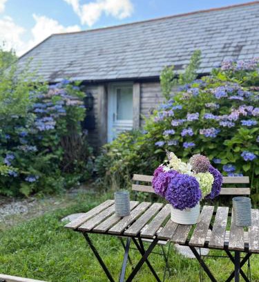 Lostwithiel Other | The Country club - Woodland cabin