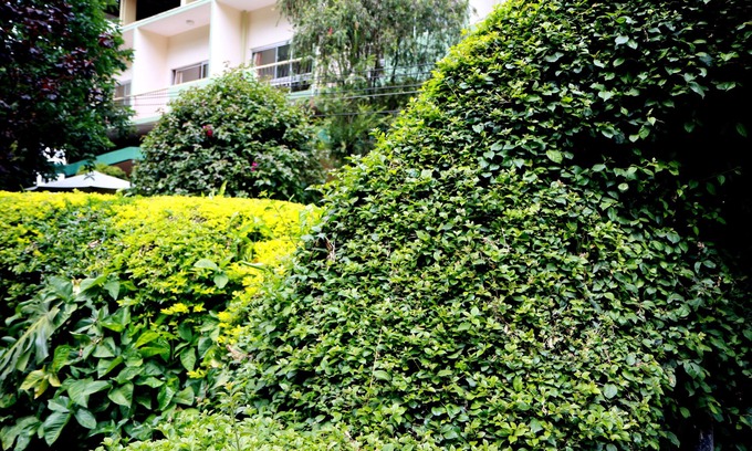 Arusha Hotel | The Equator Hotel