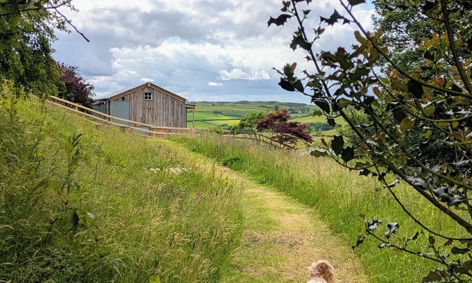 Trofarth Cabin | The Fold - Unique Cabin Nestled in Nature