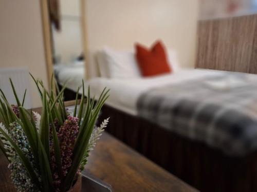 Portsmouth Apartment | The Green Light House Studio 24 - Free Private Parking