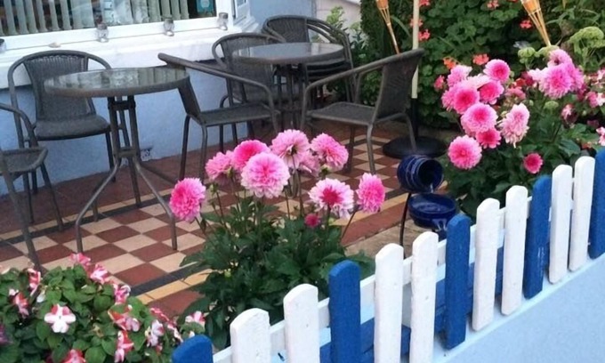 Paignton House | The Haldon Guest House