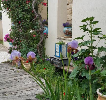 Netaim Hotel | The House of Taly & Erez