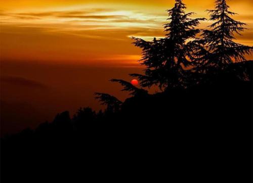 Fagu Hotel | The Kufri Castle I Property of the year I Family Accomodation I Peacefull Area I Sky Bonfire I Kufri by Exotic Stays