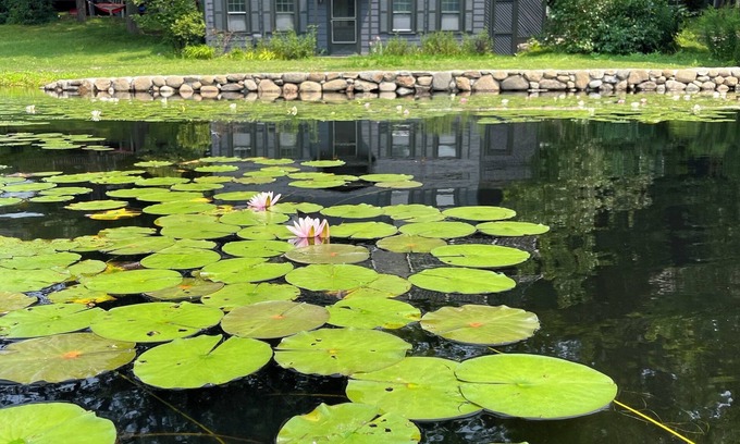 Winchester Cottage | The Little House. Historic 2-BR waterfront cottage in Winchester w/WiFi, AC