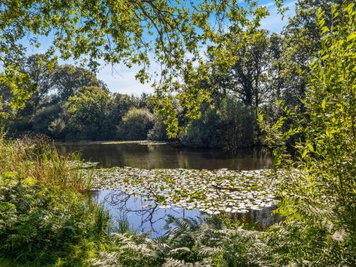 Plaistow House | The Lodge At The Lake House