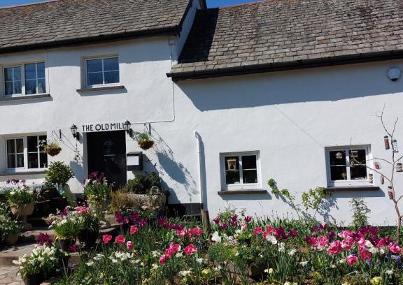 East Portlemouth Bed & Breakfast | The Millers Cottage