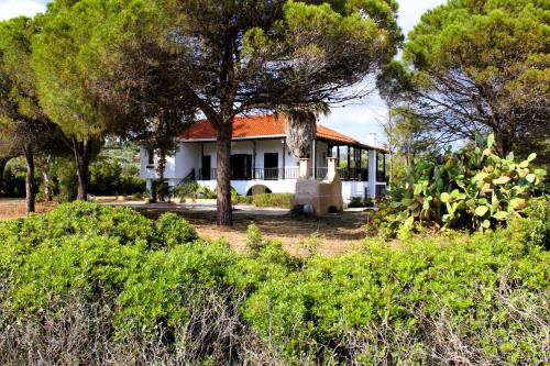 Karystos House | The Sisters Beach House