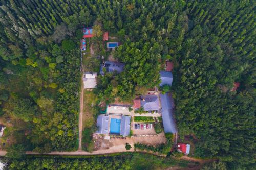 Chikkamagaluru Resort | The Spectrum Resort - Chikmagalur