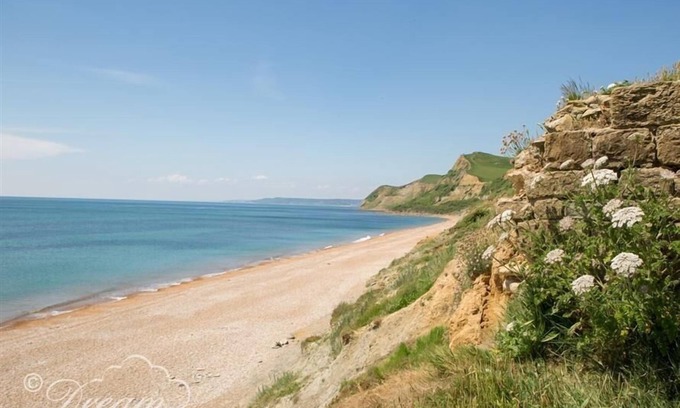 Eype Cottage | The Wave