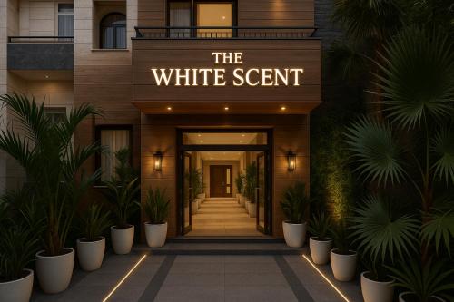 Noida Hotel | The White Scent-Near Noida Sector 18 Metro