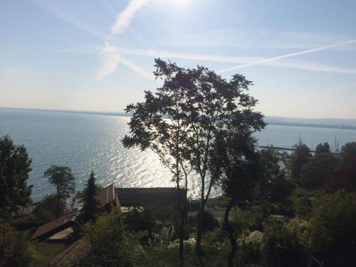 Tihany Apartment | TIHANY (BALATON), BEST VIEW, SPACIOUS WELLNESS, CENTRAL , 50m BEACH
