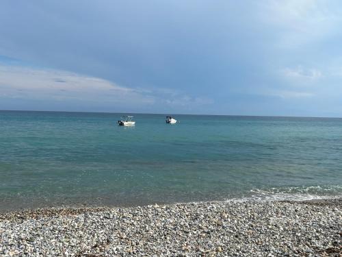 Mola Kalyva Apartment | Tiny apartment in Chalkidiki!