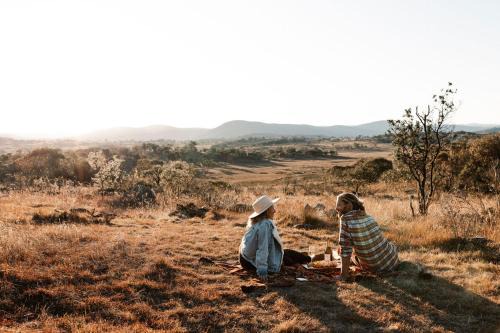 Hill Top House | Tiny Elsie