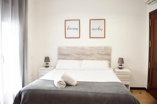 Toledo City Center House | ToledoRooms Palacios