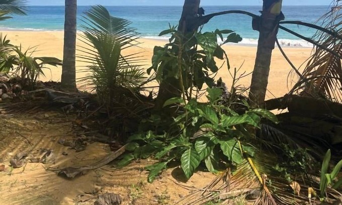 Bocas del Toro Cabin | Toucan Hill Lodge