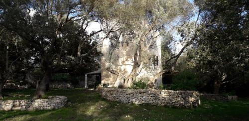 Bonifacio House | tour casella
