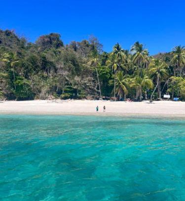 Cerro Plano Other | Tour de Bioluminisciencia con Camping