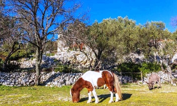 Smokovljani House | Traditional and Authentic House in Nature & Organic food & Little Ranch
