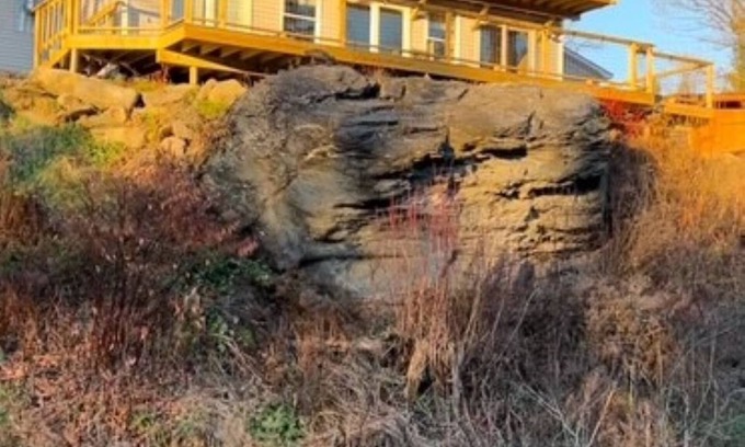 Clarksville House | Tranquil Woods, Water and Wildlife