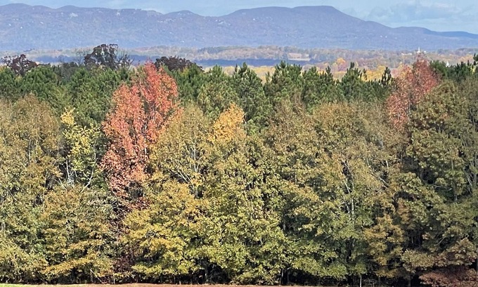 Greenville - Spartanburg House | Travelers Rest, Furman, Greenville, and a mountain view!