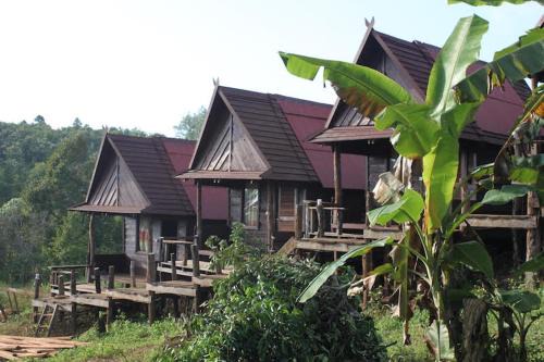 Sen Monorom Cabin | Tree Lodge