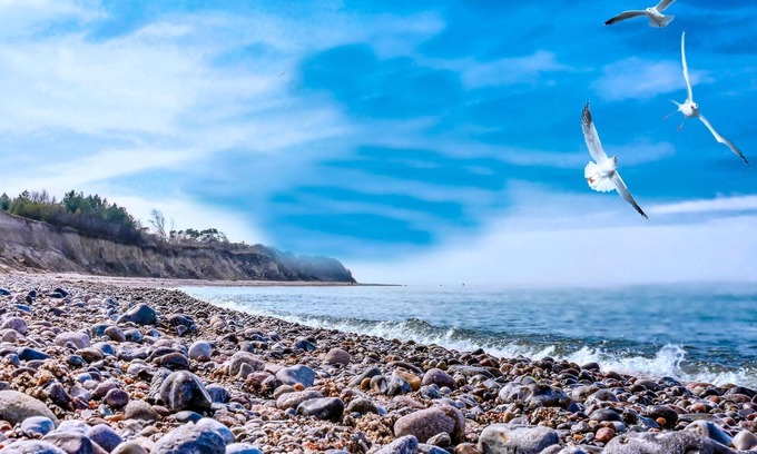 Dranske Apartment | Tree tent Ostseebreeze - Category 1 No. 8 - Ferienpark Bakenberg