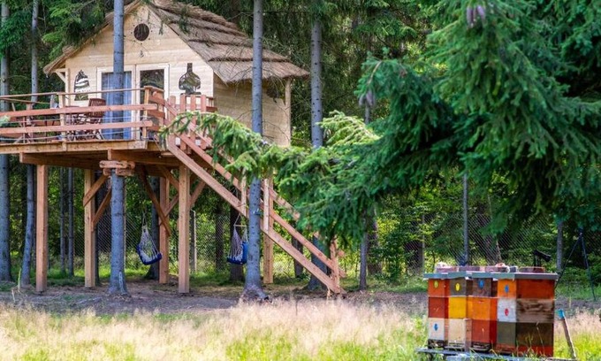Osecna Other | Treehouse U lesa