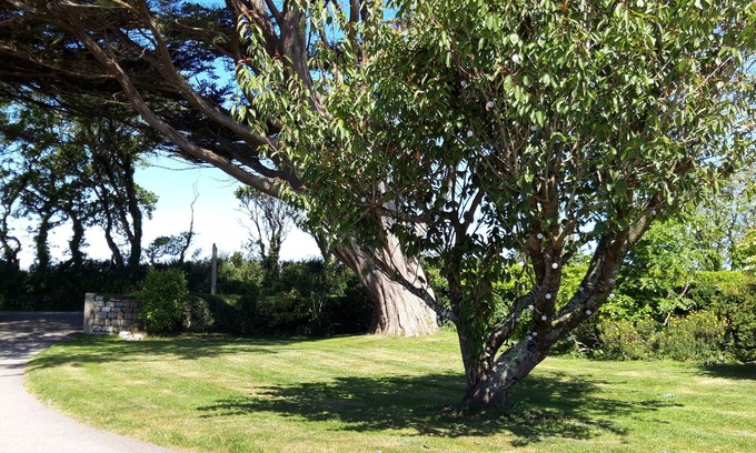 Mawnan Smith Cottage | Trelawne Garden Annexe