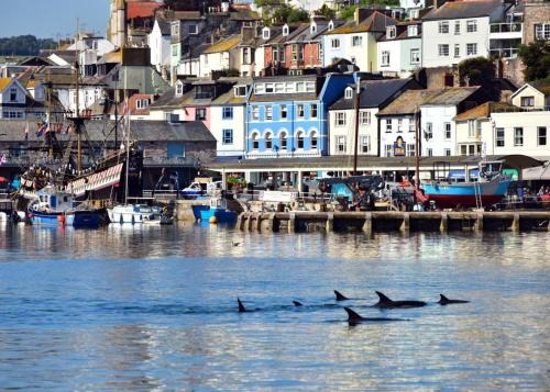 Torquay City Centre House | Trelawney Hotel - Guest House