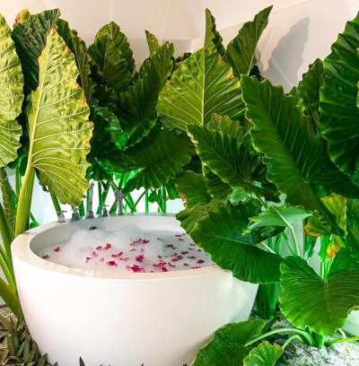 Thoddoo House | Tropicana Villas