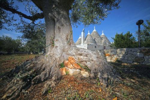 Polignano a Mare House | Trulli Foggia dell'Albero