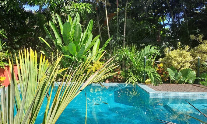 Tamarindo Apartment | Tucan large room for two fully equipped with a private terrace.