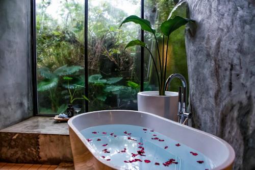 Ruifang Bed & Breakfast | Twilight Forest