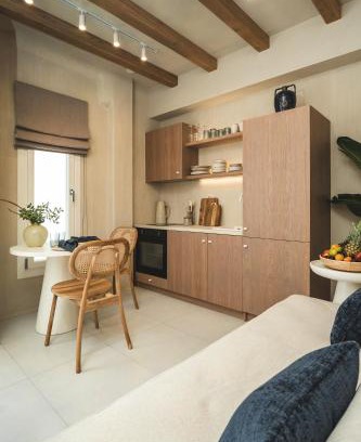Old Town Naxos Apartment | Two times Naxos