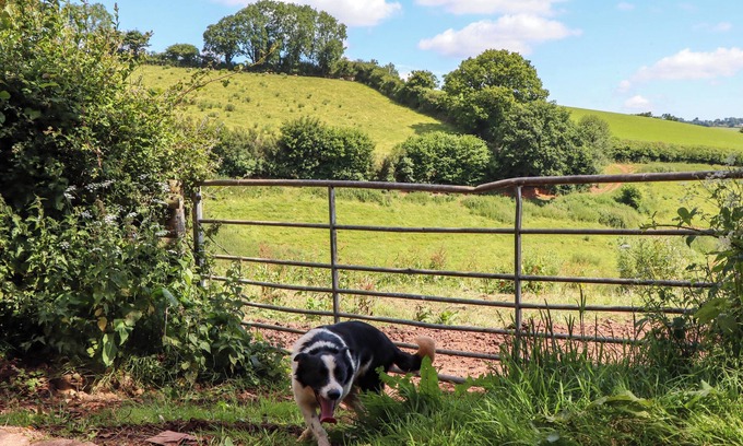 Tiverton Cottage | Twyford Farm Cottage