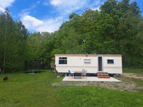 Sarbsk House | Ulinia Wilcza 4 niebieski