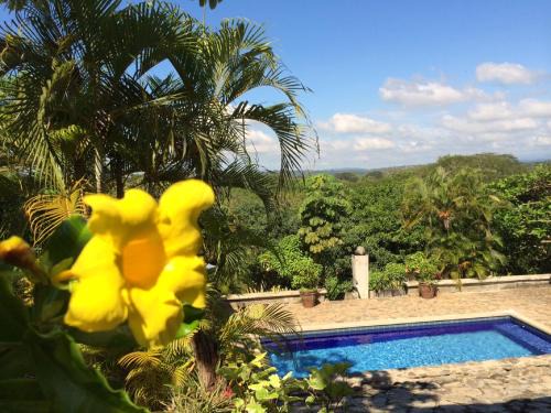 Coyolar House | Unique Architecture, 3 Pools and Wi-Fi