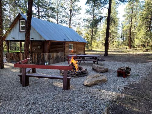 Mancos House | Unique Cabin Rental in Colorado for a Weekend Getaway in the USA