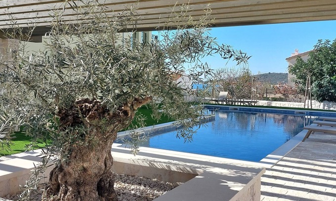 Sevid Apartment | Vacation apartment Happy Olive in Sevid near Trogir Croatia